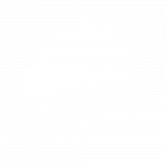 Spirit