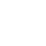 1w Team