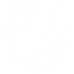 Team Falcons
