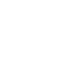 L1 Team