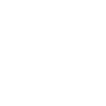Team Nemesis