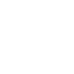 Virtus.pro